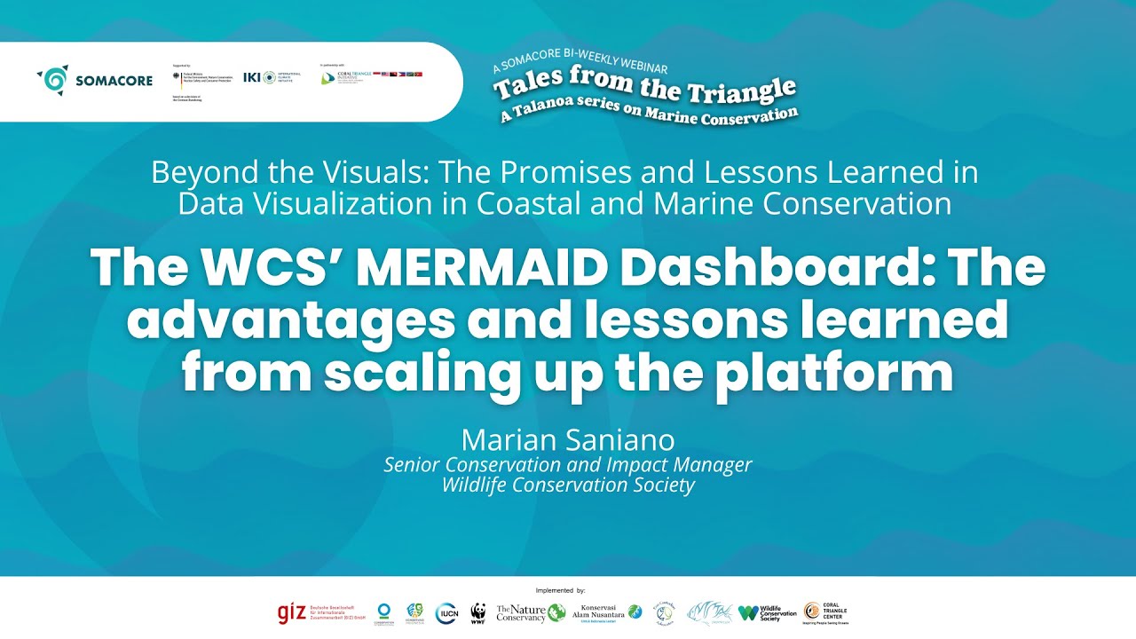 The WCS’ MERMAID Dashboard: The Advantages and Lessons Learned from Scaling Up the Platform