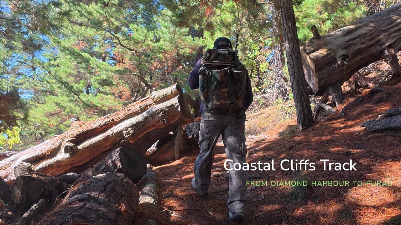 Coastal Cliffs  Track from Diamond Harbour to Purau