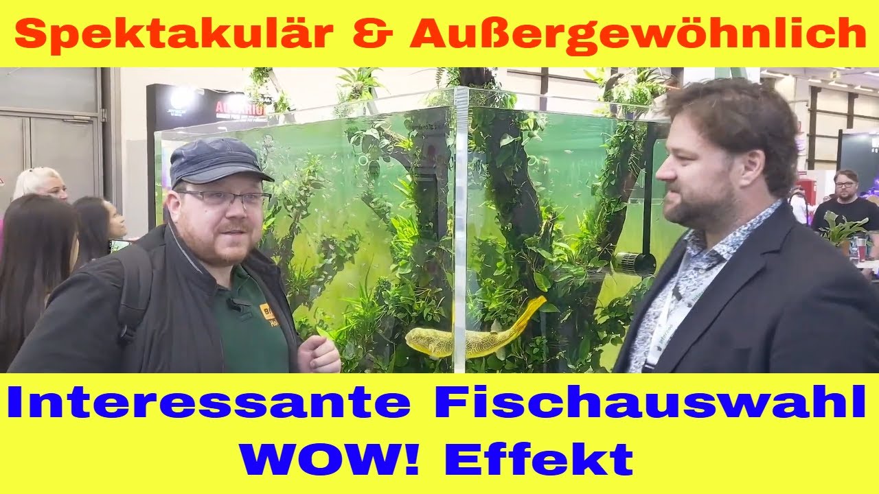 Das größte Aquarium der Interzoo 2024: Ein Meisterwerk von New Wave Concepts + Oliver Knott