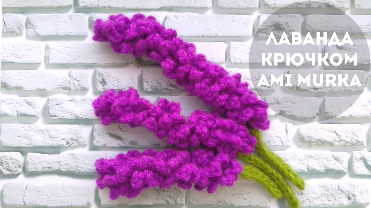 Лаванда крючком.  AMI MURKA