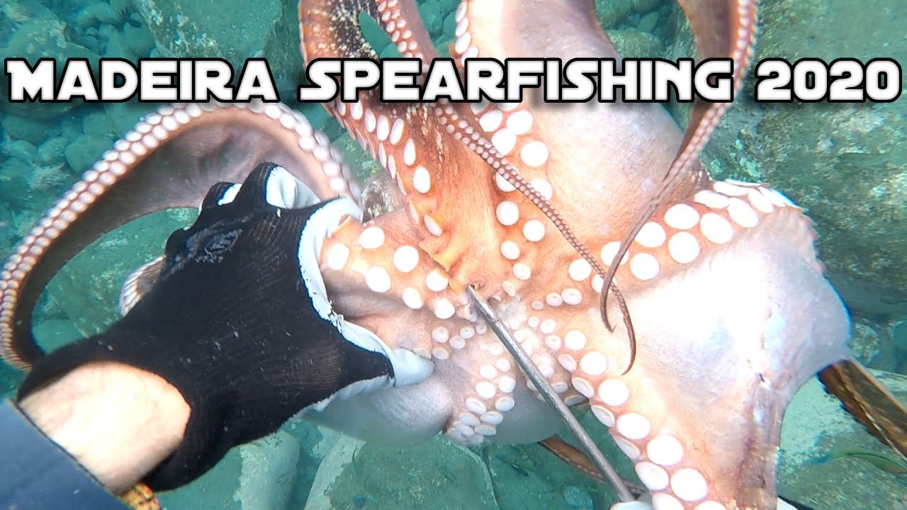 ILHA DA MADEIRA- CAÇA SUBMARINA/SPEARFISHING 2020