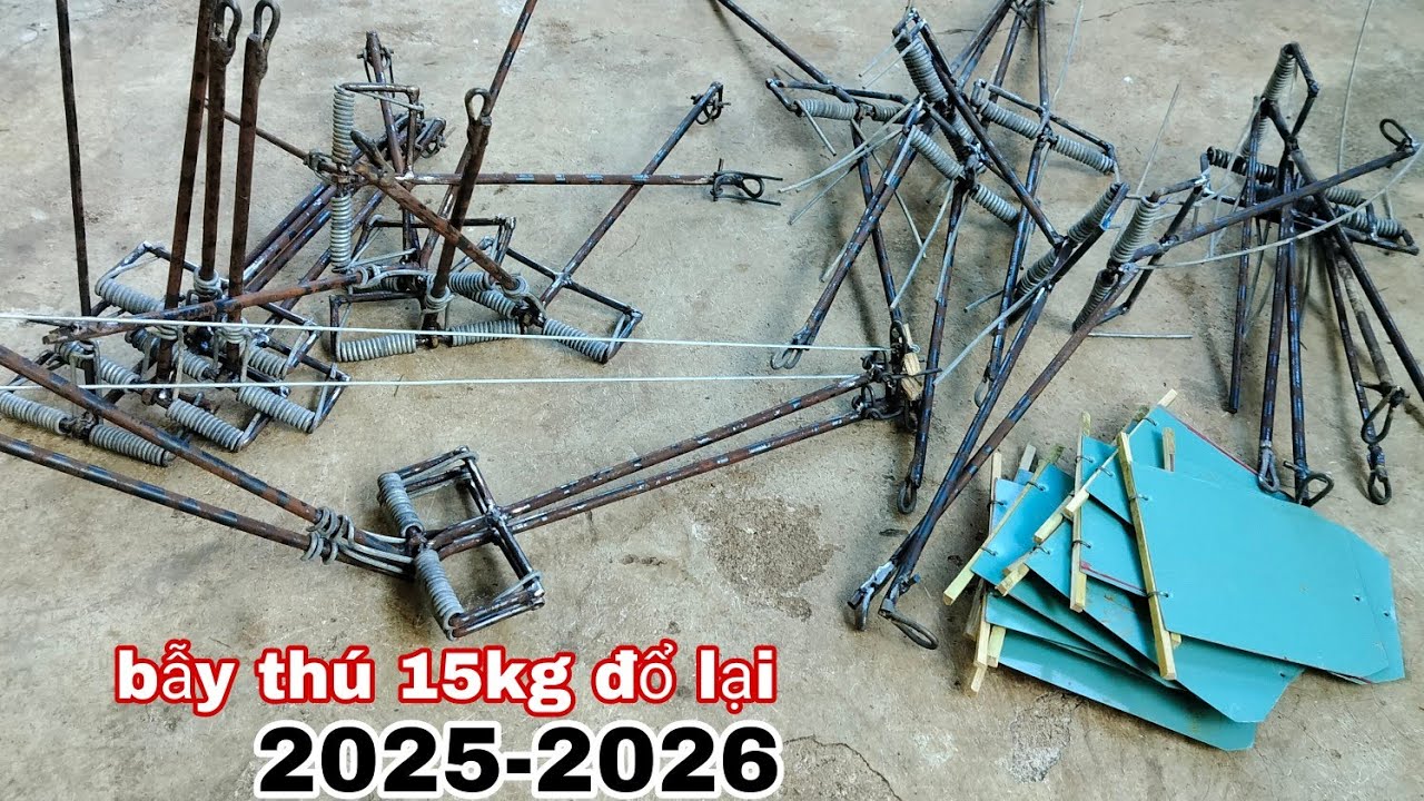 Hướng dẫn a e cách đào hố cách đặt bẫy lò xo chữ T mi ni nhanh gọn lẹ ( thợ rừng chế bẫy )