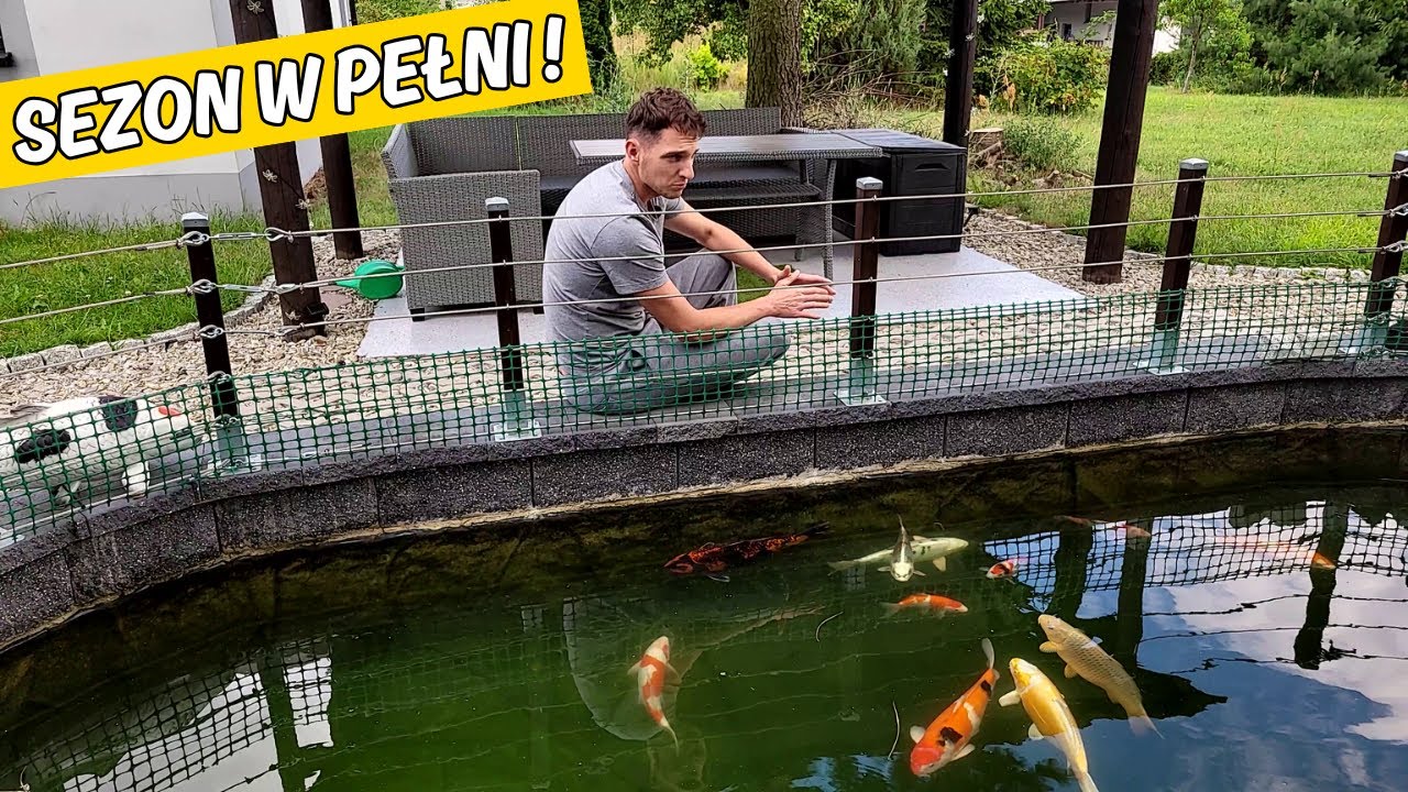 Co słychać w Oczku Wodnym? 🙂 | Przyrosty Karpi Koi 🐟