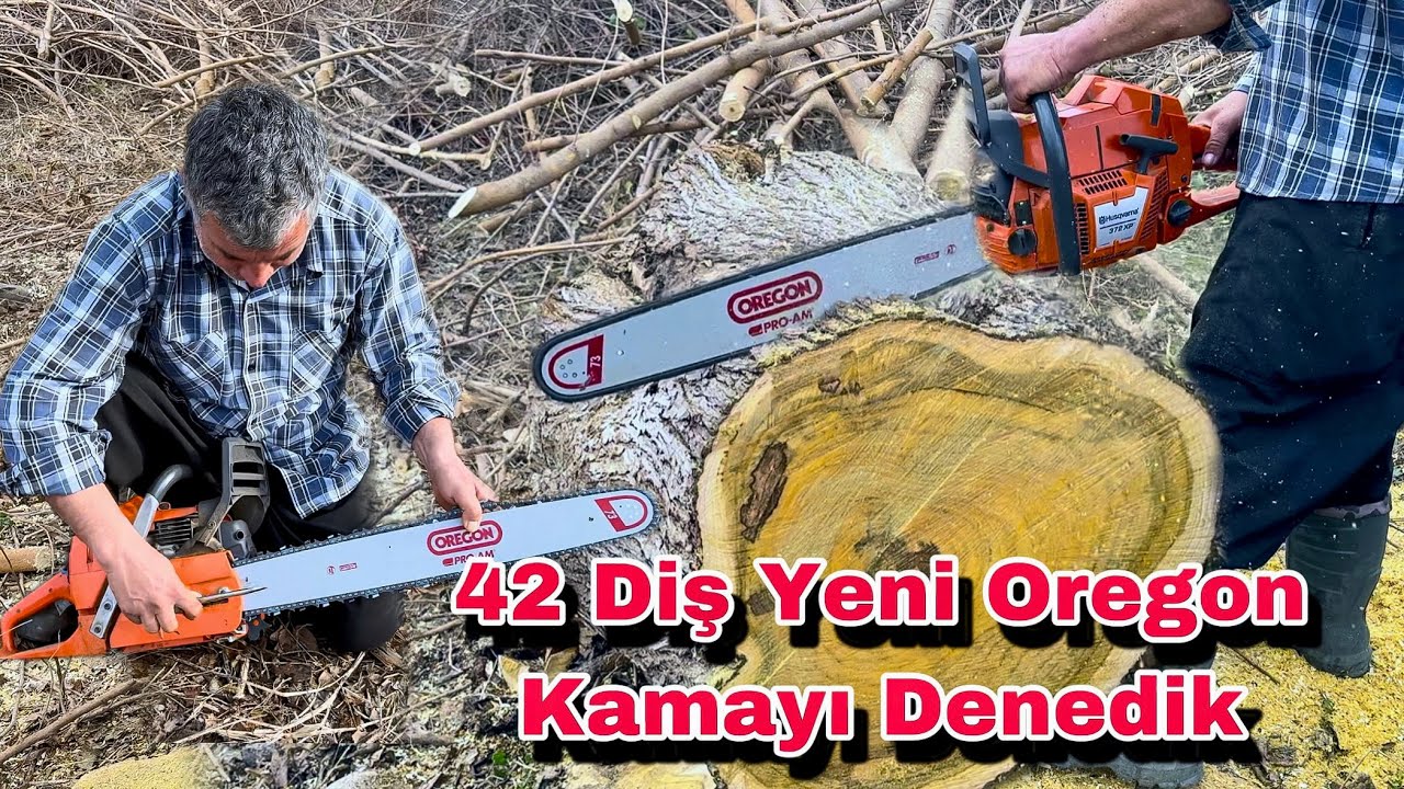 FİYATLAR UÇMADAN 42 DİŞ OREGON KAMA ALDIK !! Husqvarna 372xp Motorlu Testere Ağaç Kesimi