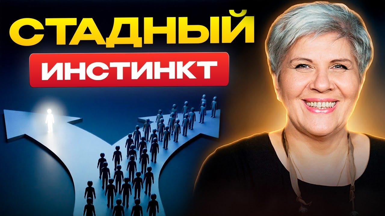 Стадный инстинкт или как не застрять в пробке