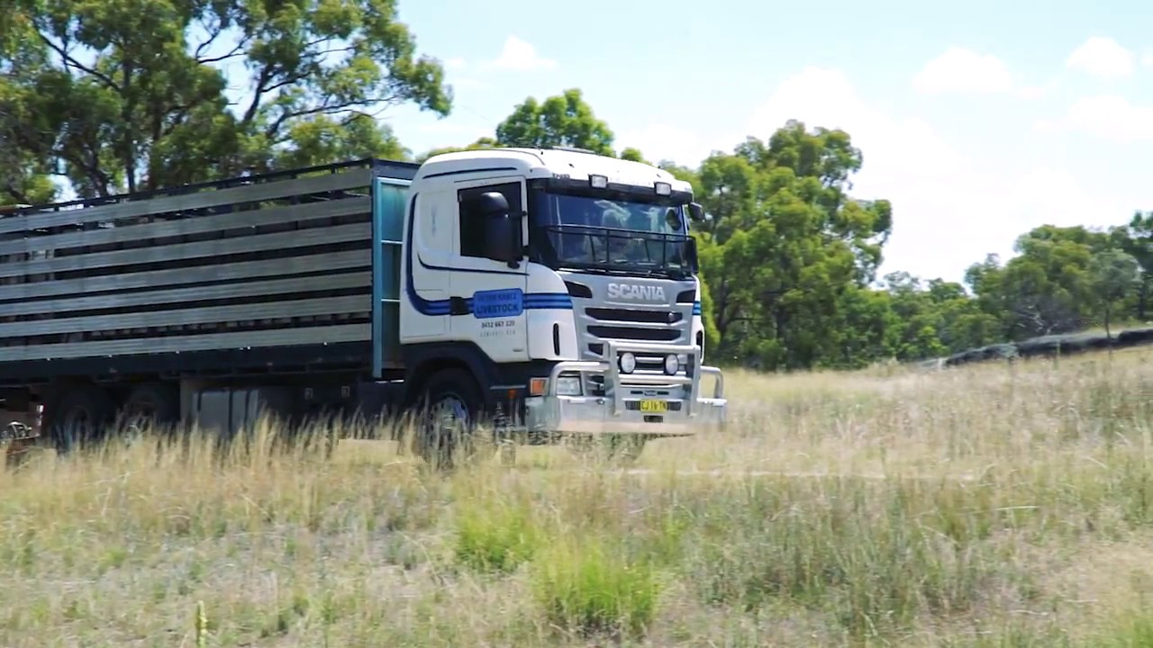 Uralla Metal Stock Crates