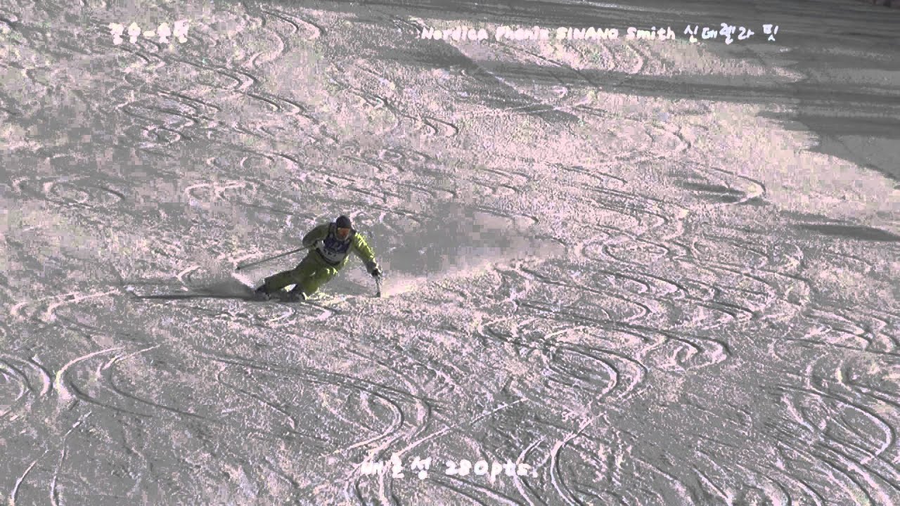 The 28th Korea Technical Ski Contest - Final Short turn