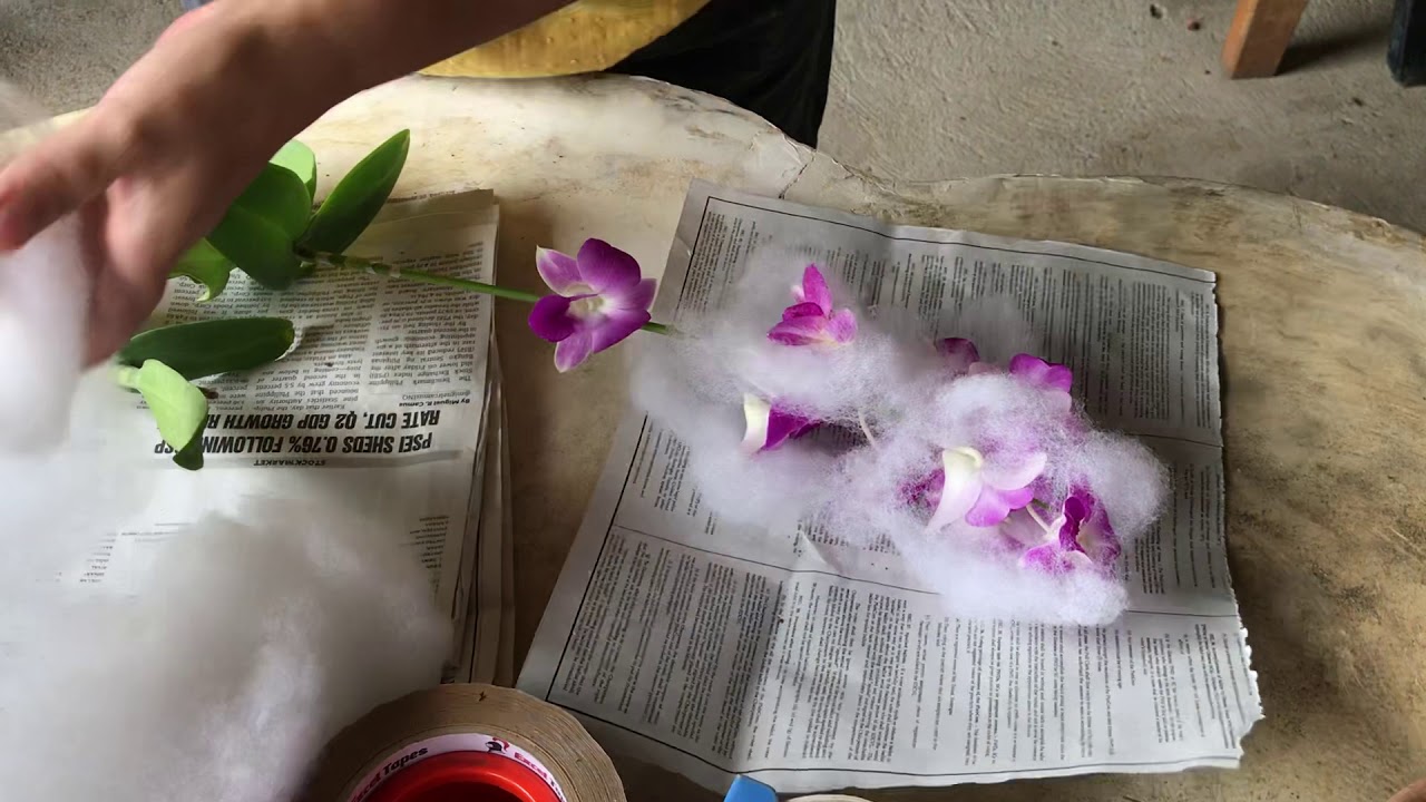 How to pack orchids for shipping