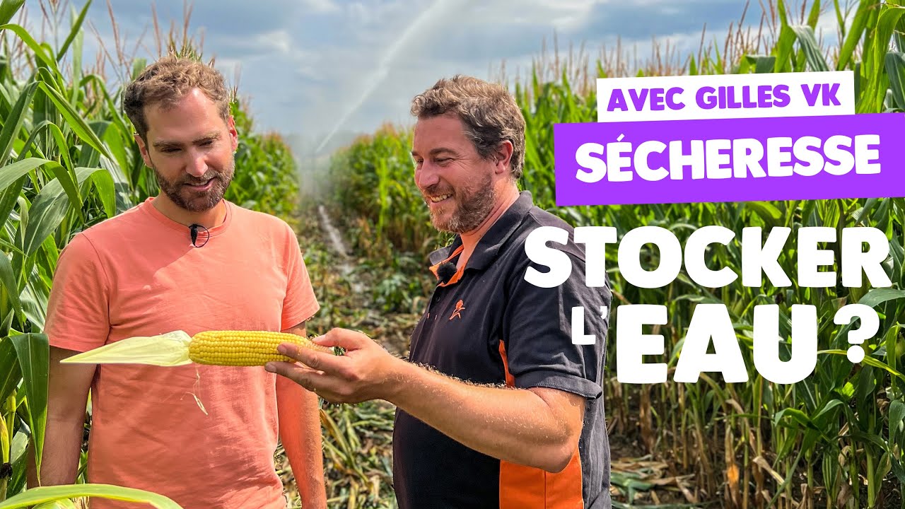 Sécheresse : irrigation et réserve d'eau chez Gilles VK