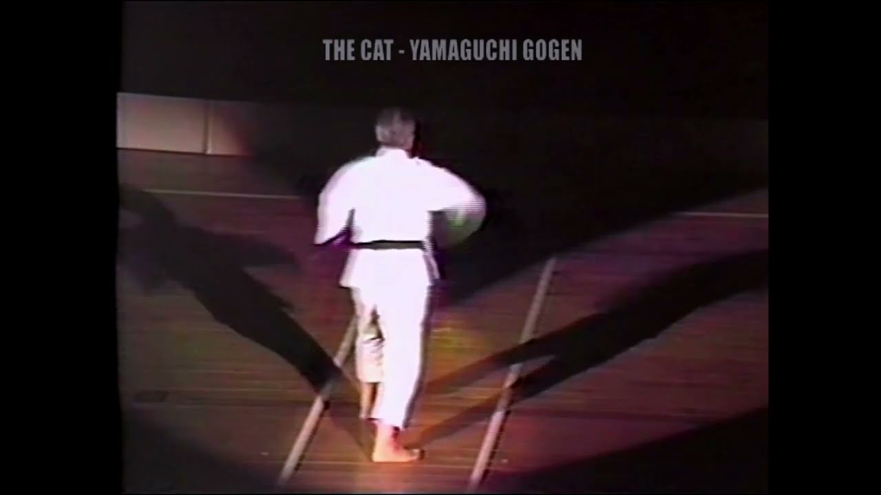 THE CAT - YAMAGUCHI GOGEN 08-10 [English Subtitles]