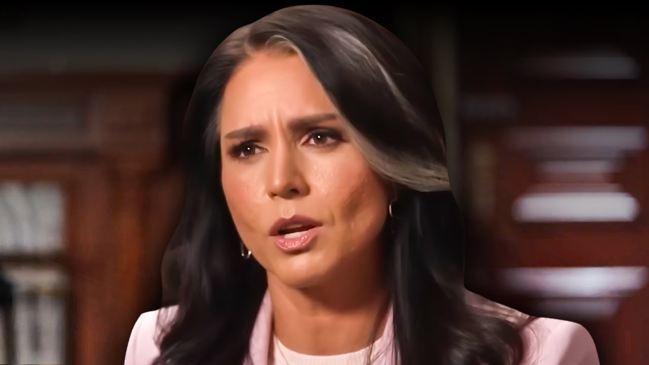 Tulsi Gabbard Calls Out The Mainstream Media