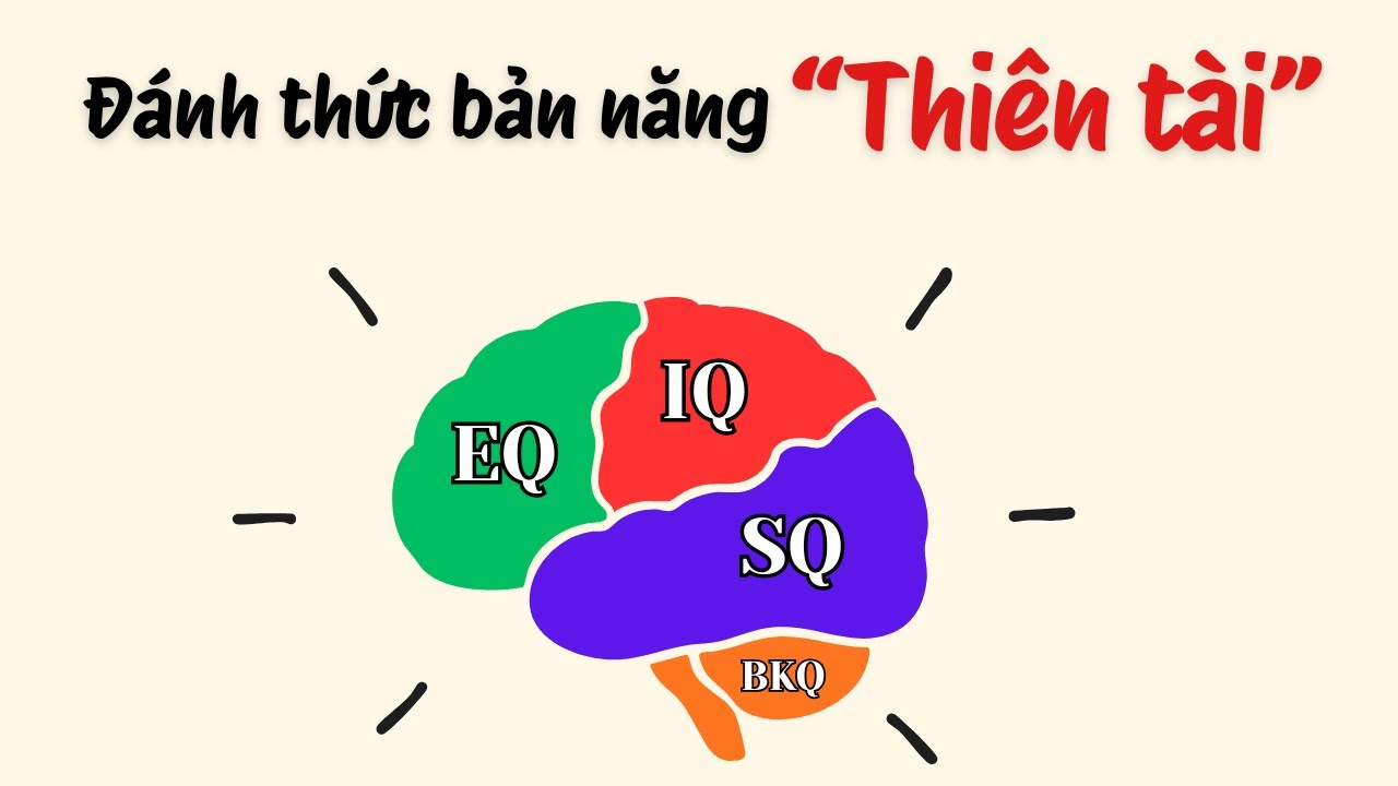 Cách NÂNG CẤP từng loại TRÍ THÔNG MINH tiềm ẩn trong bạn (P.1)