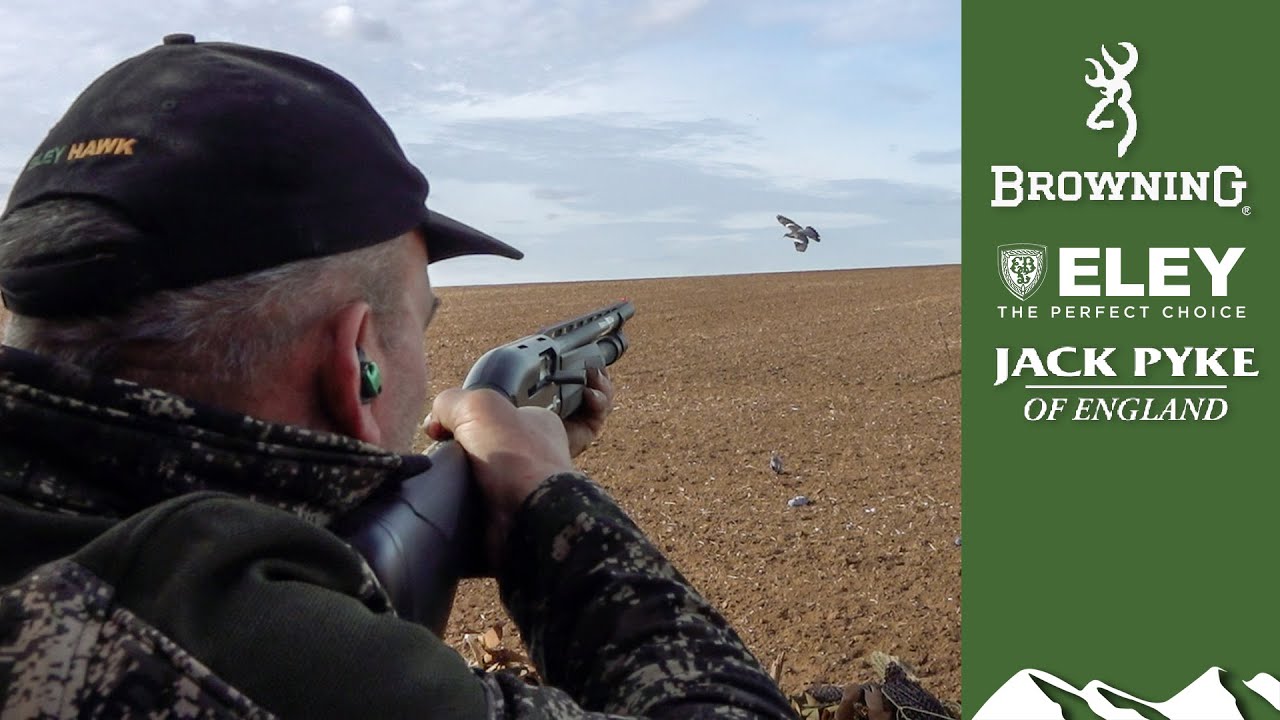 Essex pigeonshooting: back with a bang