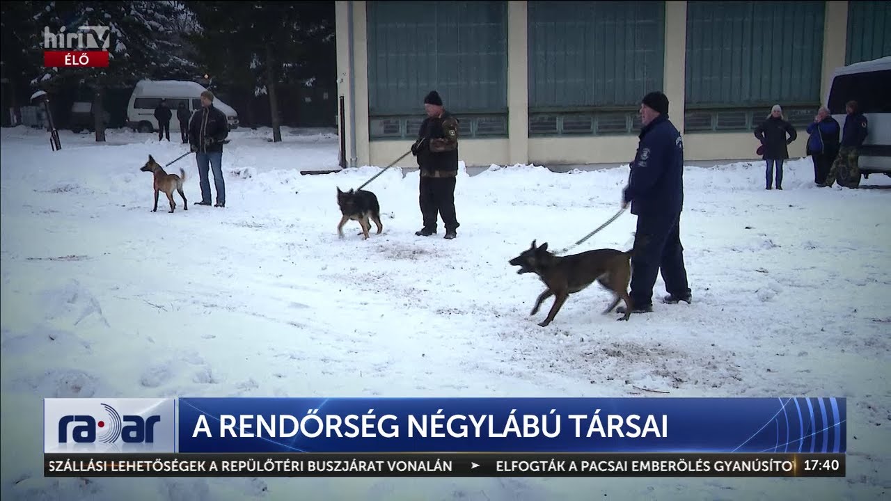 A rendőrség négylábú társai - HírTV