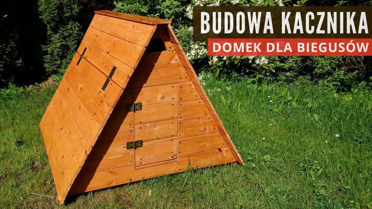 Jak zbudować kacznik DIY domek dla biegusów indyjskich
