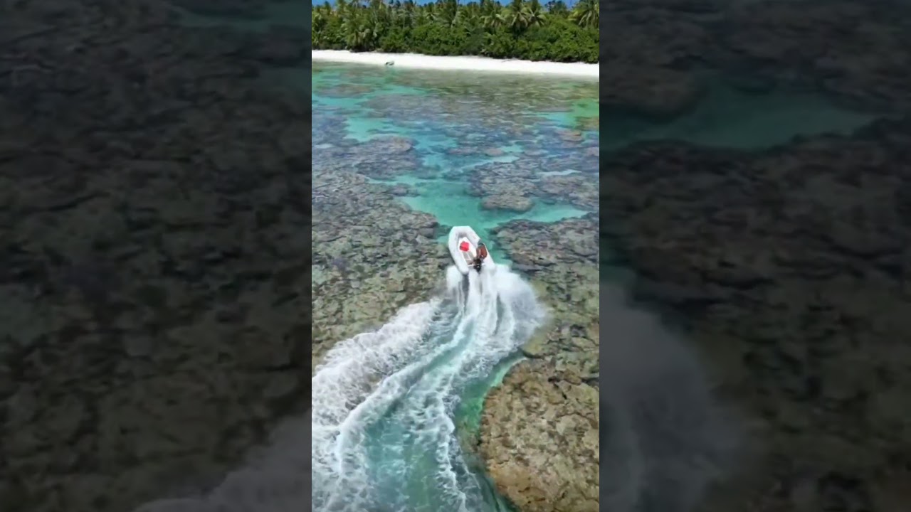 Is This Good For The Reef?  #boat #boating #boatfails #reef