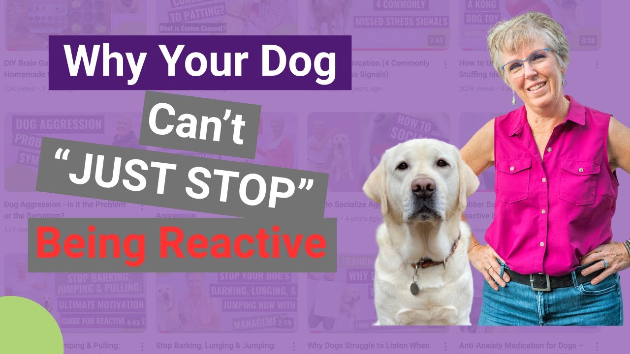 Why Your Dog Can't 