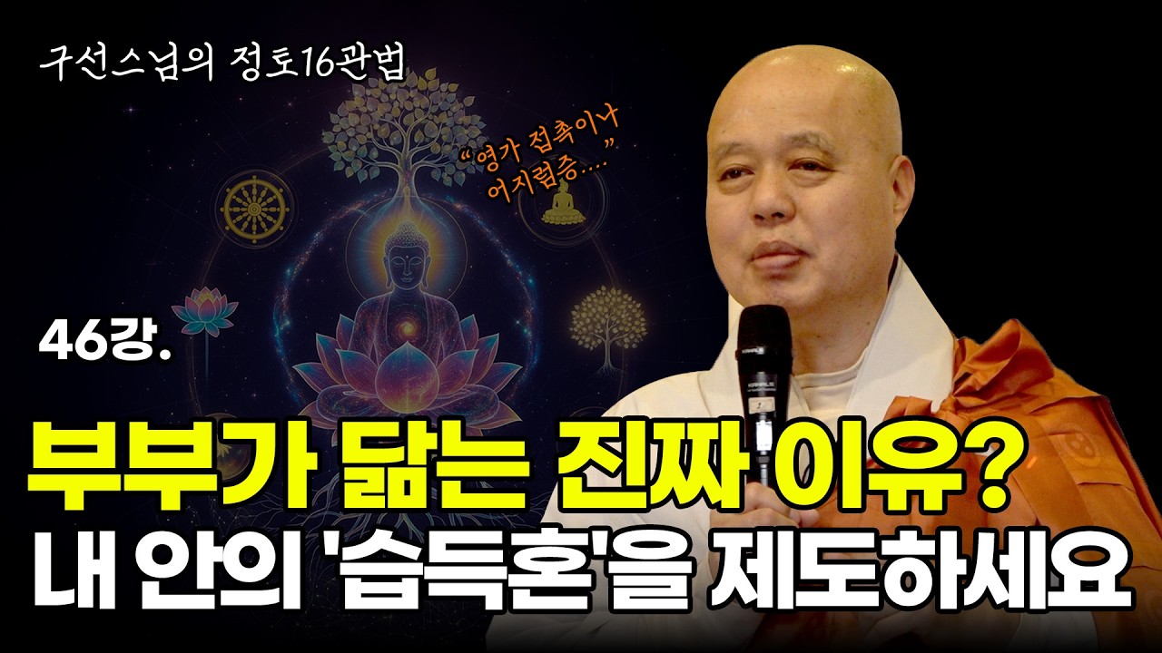 [구선스님의 정토16관법 46회] 내 성격과 감정이 바뀌는 비밀: 습득혼의 작용과 8해탈의 지혜