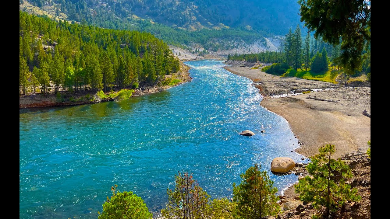 Yellowstone River Nature Sounds (1 Hour) - Relaxation & Sleep