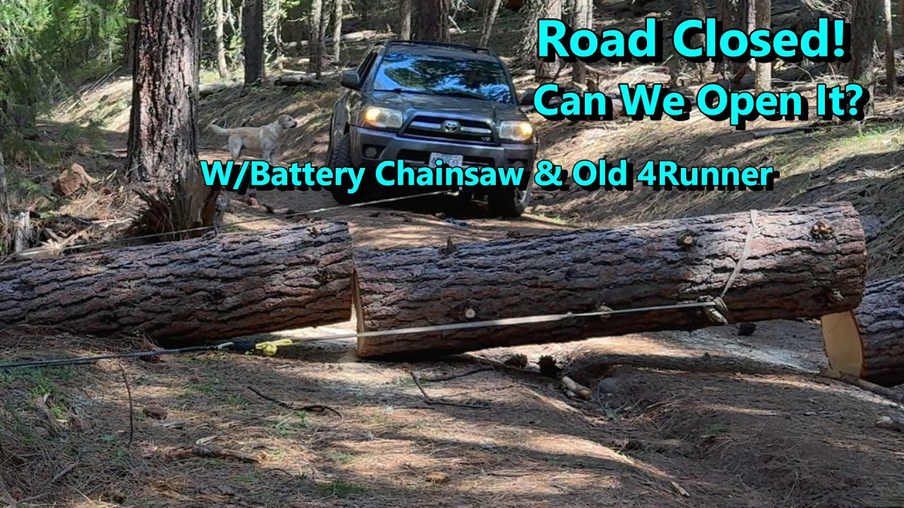 237: US Forest Service RD Blocked for months by a Big Fir Tree! Can We Finally Open This Road?