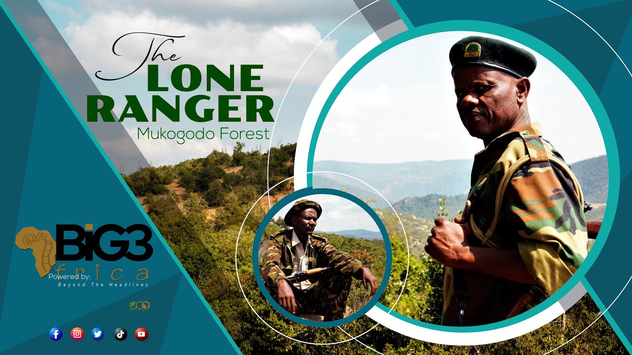 Guarding the forests of Kenya: The Lone Forest Ranger