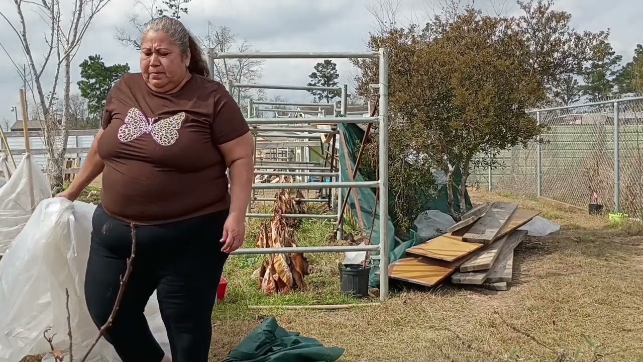 Un día afuera destapando las matas 💐💐🌷🌷😫😫😩😩😂😂😅😅