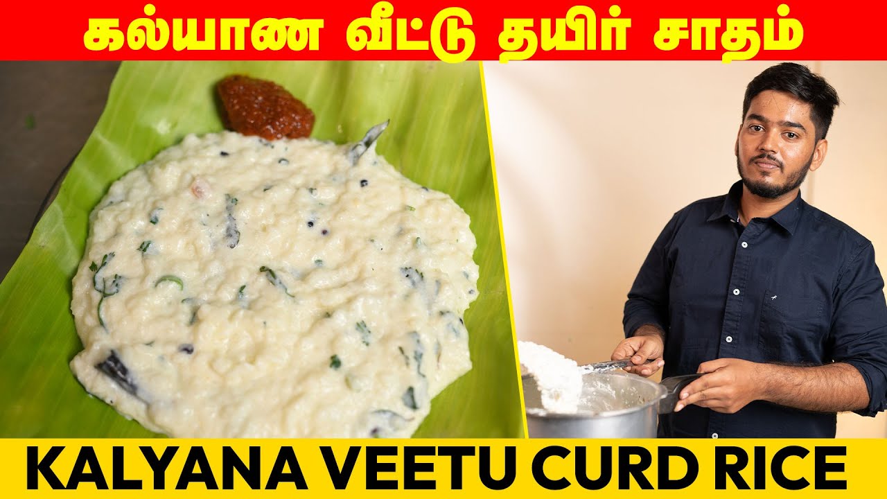யாரும் சொல்லாத கல்யாண வீட்டு தயிர் சாதம் |  CURD RICE RECIPE | THAYIR SADAM | TEMPLE STYLE CURD RICE