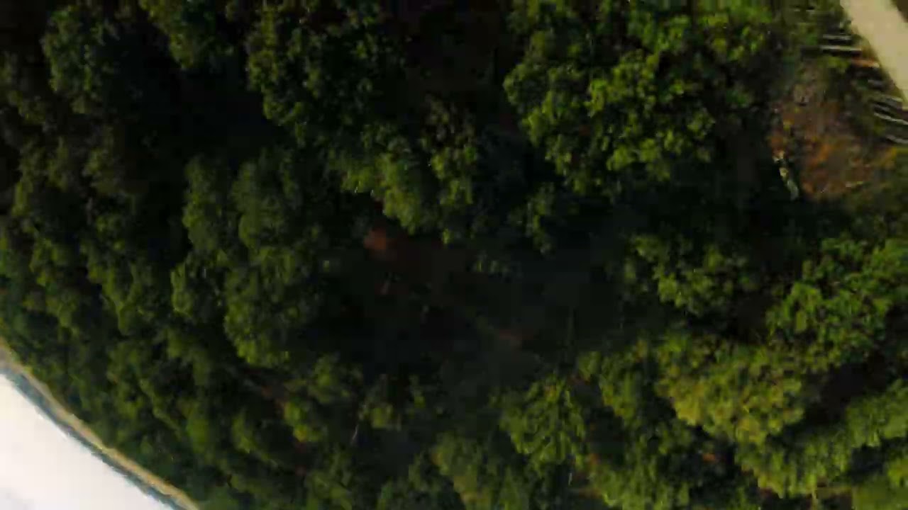 Uncut 15 08 2022