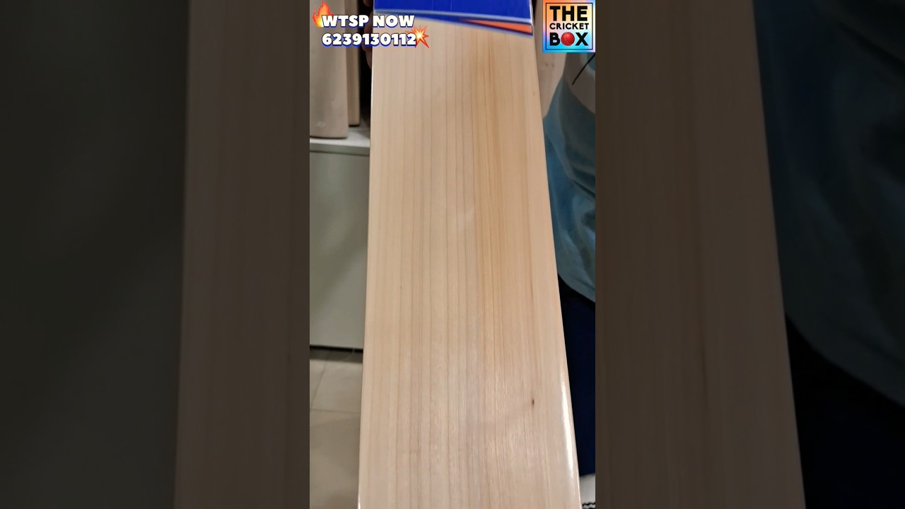 JABARDAST GRAINS WALA LIGHT WEIGHT BAT #shorts #thecricketbox