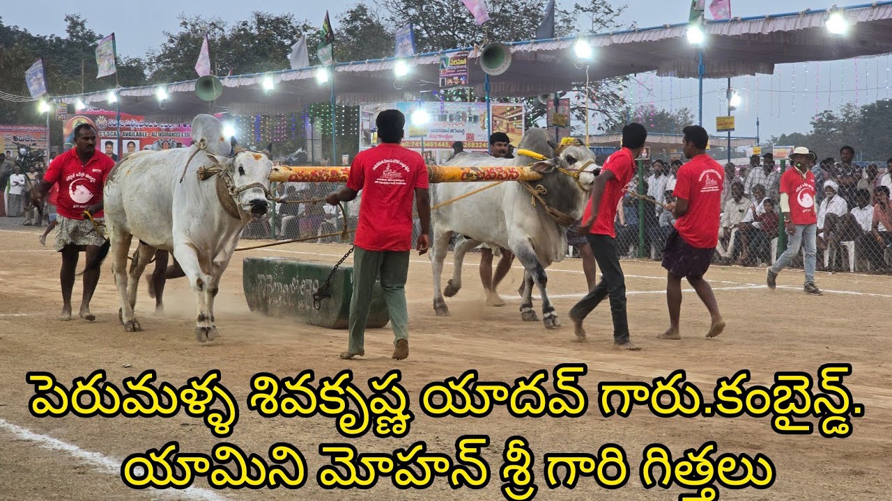 రెంటచింతల సబ్ జూనియర్స్ 11జత. పెరుమళ్ళ శివకృష్ణ యాదవ్ గారు.కంబైన్డ్. యామిని మోహన్ శ్రీ గారు.