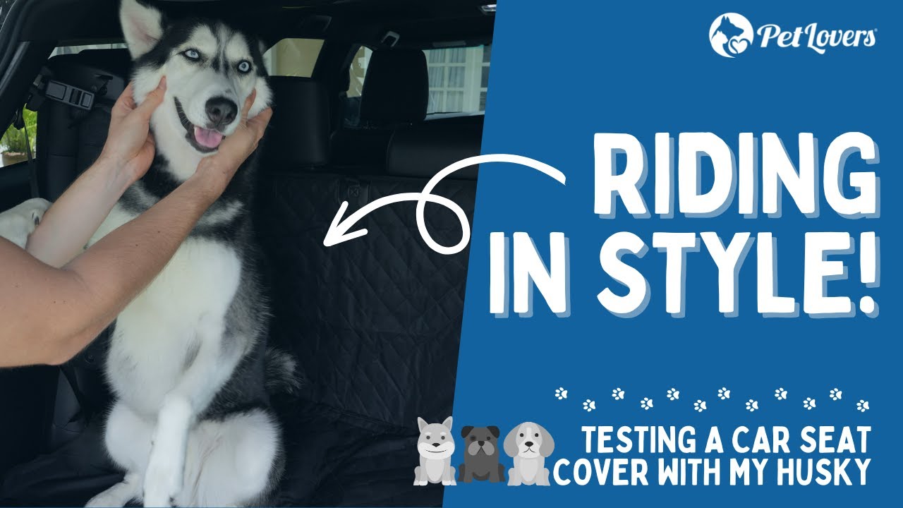 Riding in Style! | Testing a Car Seat Cover with My Husky
