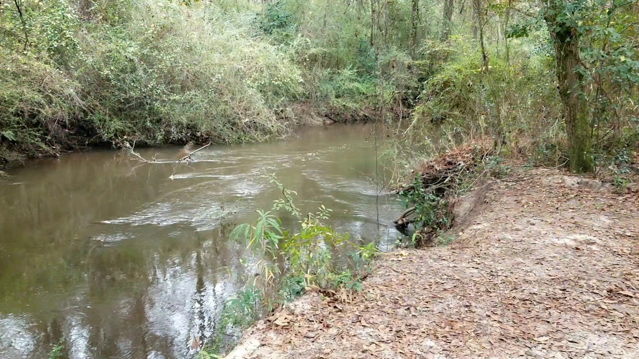 Weleetka Trail #FallinGA2020 #PerryGA #Perry