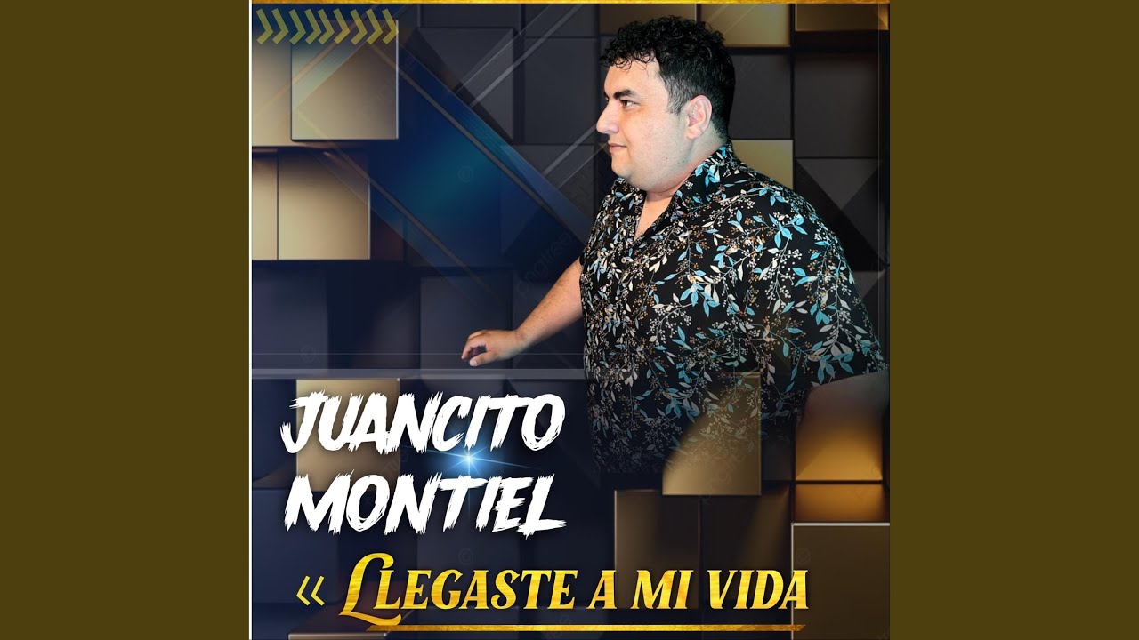 Llegaste a Mi Vida