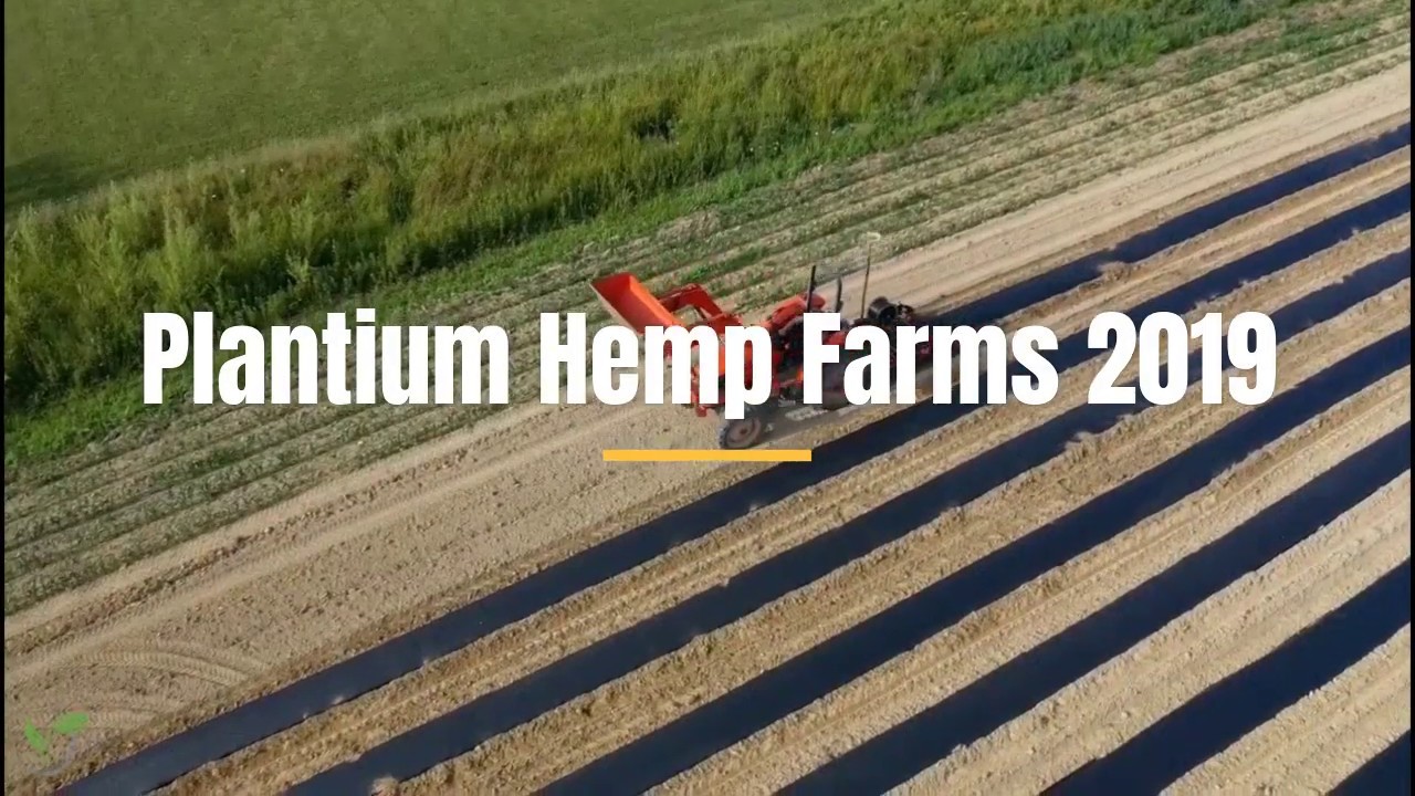 Plantium Hemp Farms 2019