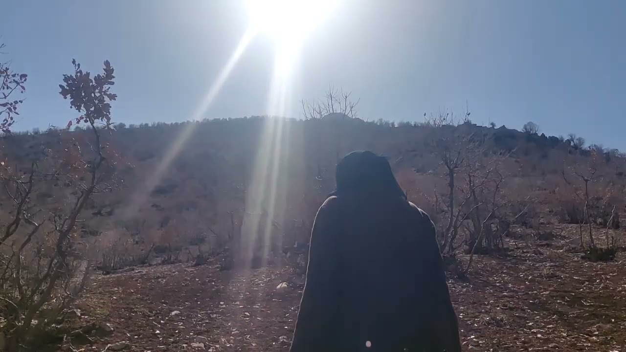 When you seek refuge in nature from sadness and grief❤️‍🩹