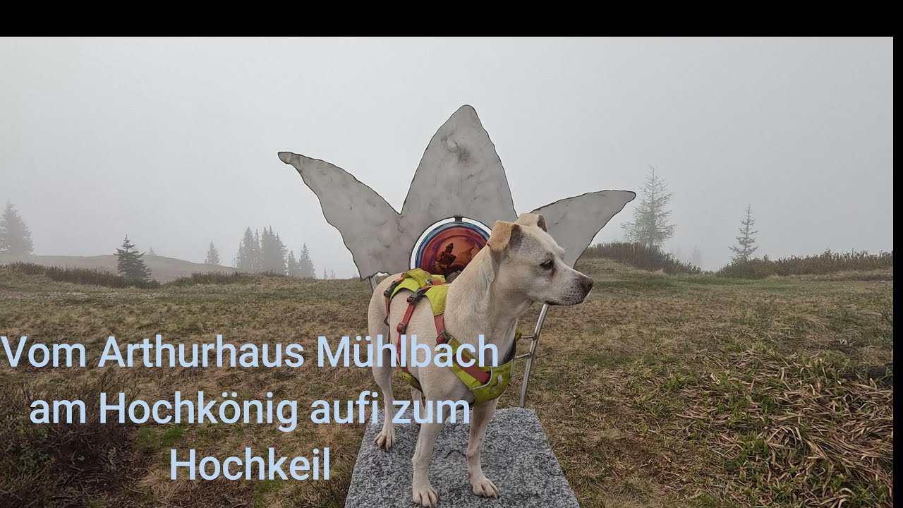 Vom Arthurhaus zum Hochkeil Mai 2025