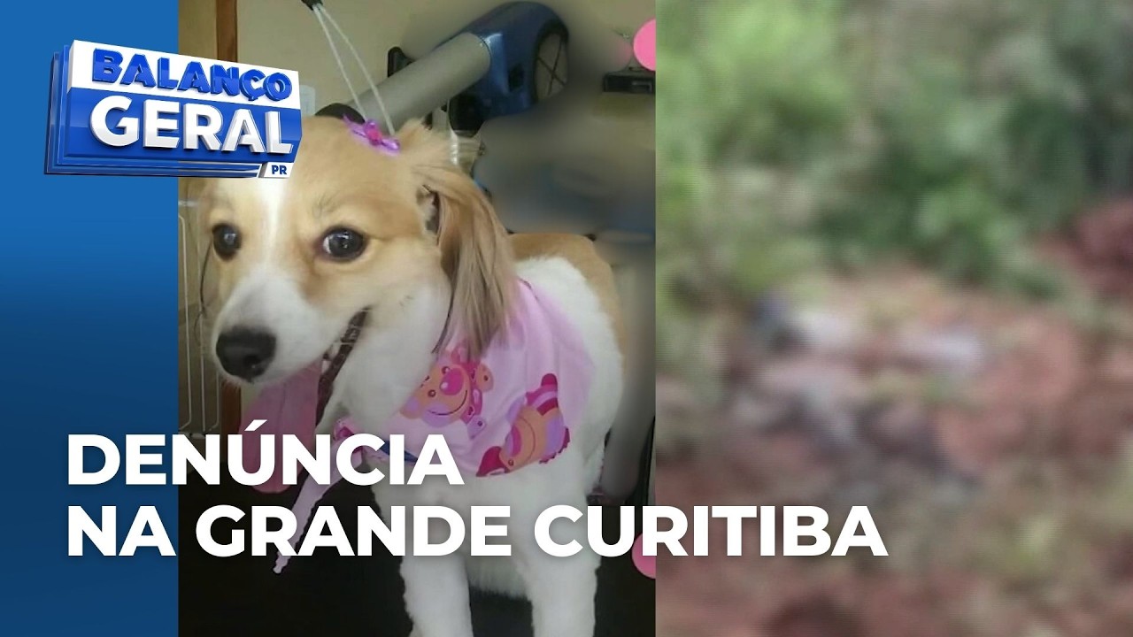 Doze cães são encontrados em sacos de lixo; tutor denuncia suposta fraude em cremação