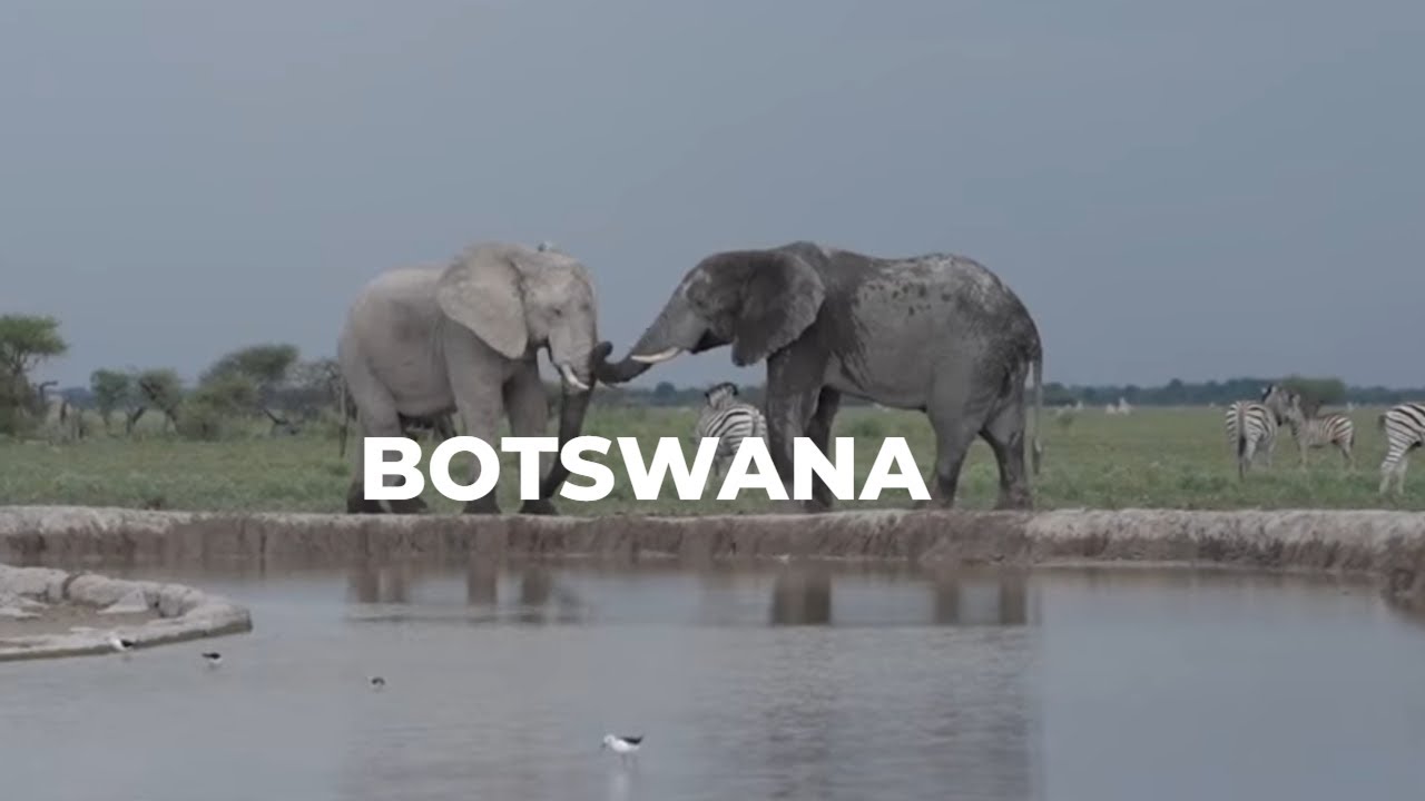 How Did Botswana Become Africa's Greatest Wildlife Paradise?