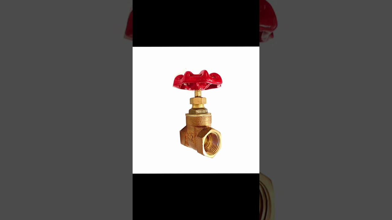 Bronze gate valve