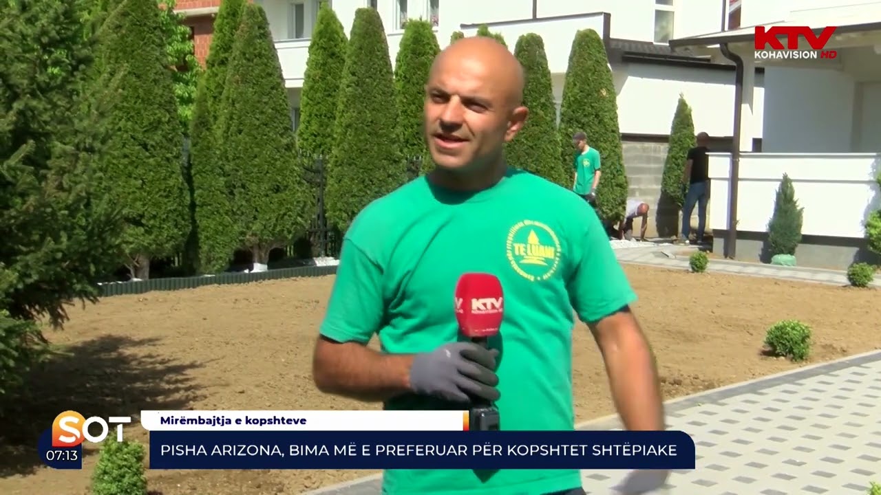 Pisha Arizona, bima më e preferuar për kopshtet shtëpiake 11 05 2022