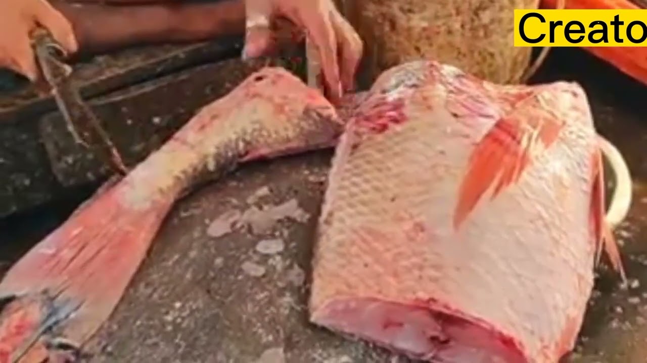 fish kating and fast cutting skills and bd fish & fishing life fish cutting in bangladesh