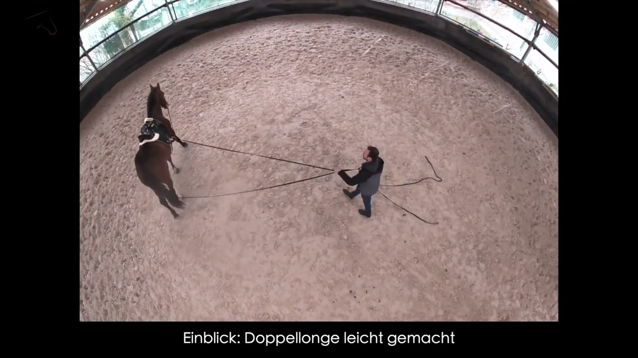 EINBLICK DOPPELLONGE