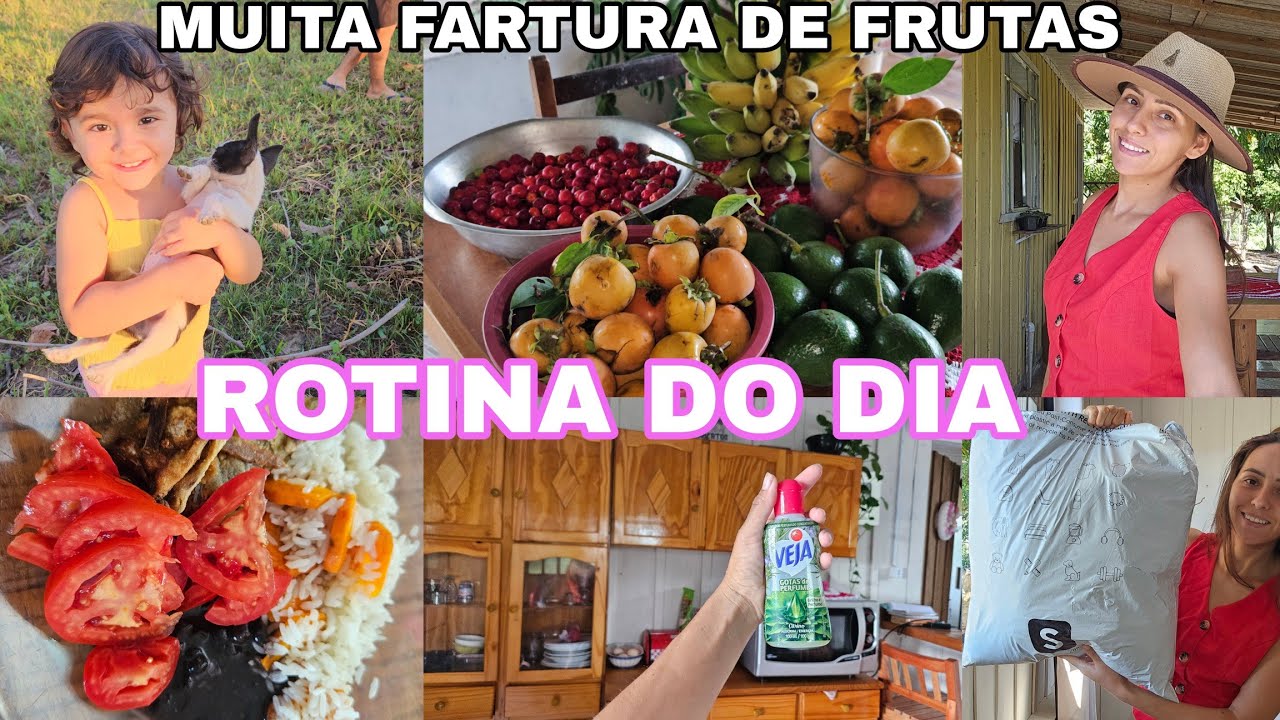 ROTINA DO DIA,NOVO INTEGRANTE,MUITA FARTURA,LIMPEZA BASICA🏡ALMOÇO,RECEBIDOS DE SAPATO E BOLSA 
