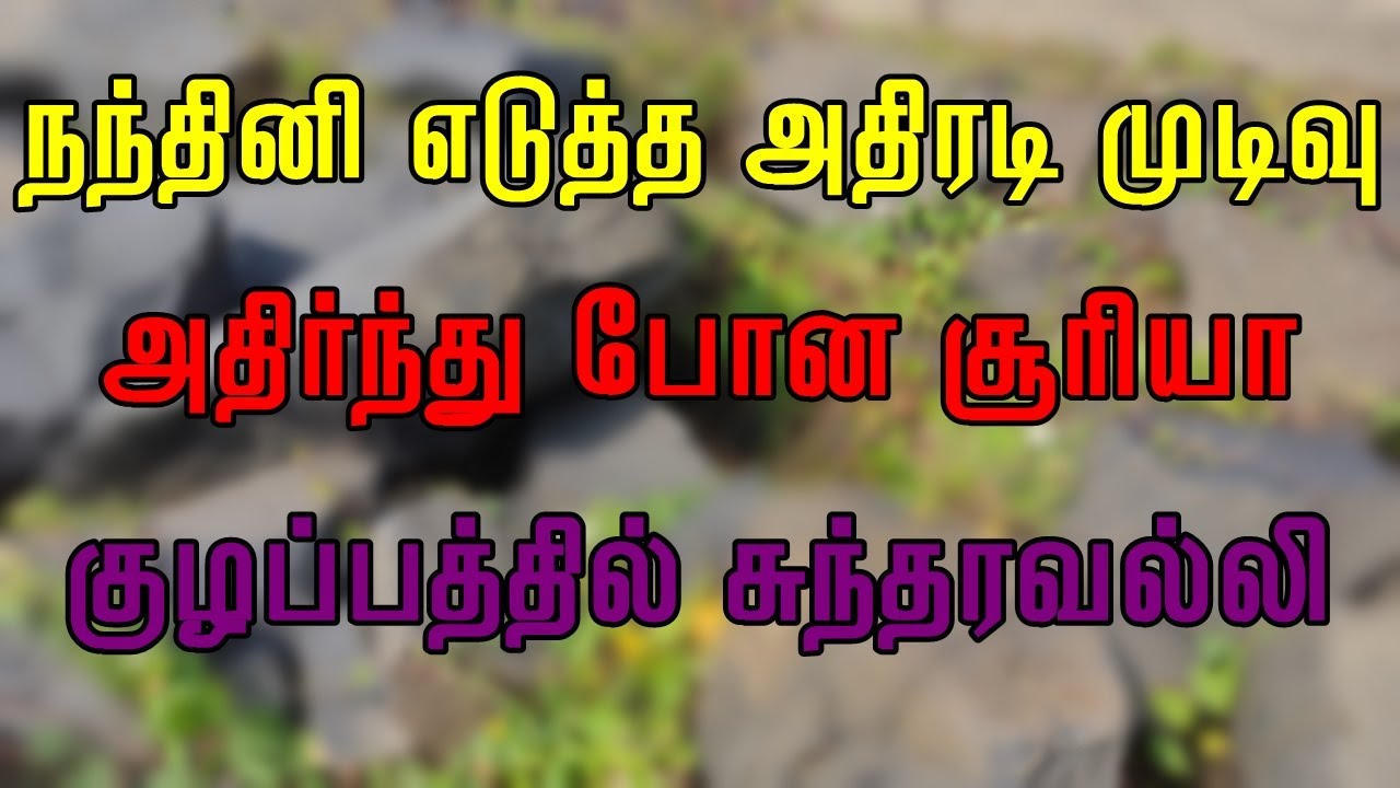 நந்தினி எடுத்த அதிரடி முடிவு - அதிர்ந்து போன சூர்யா 