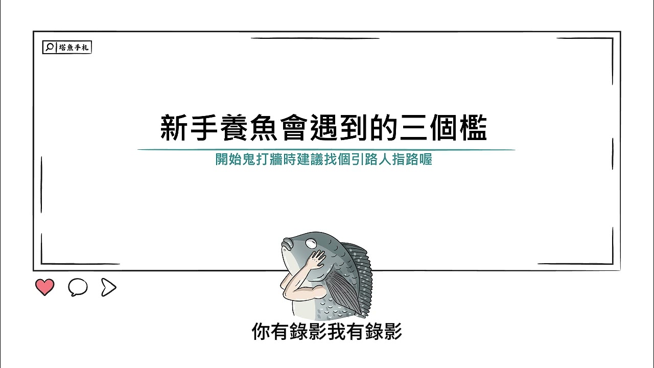 [水族大大不要聽]Ep91新手養魚會遭遇到的三個門檻。為什麼我的魚養不過2個星期、3個月、3年