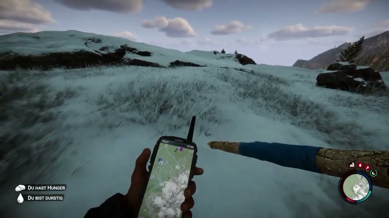 Sons of the Forest #6