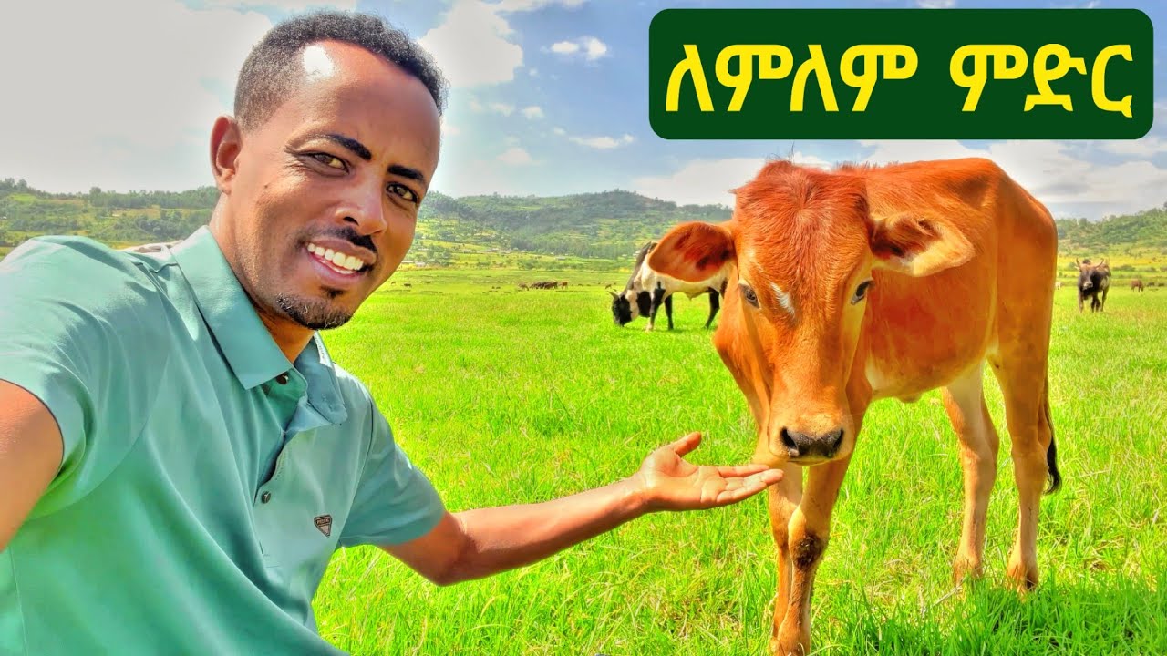 ✅ ያገሬው ሰዎች እንደ ልጃቸው የሚሳሱለት ማራኪው ለምለም ምድር - ወሎ ቃሉ ፣ በኬ ሜዳ ❤ 