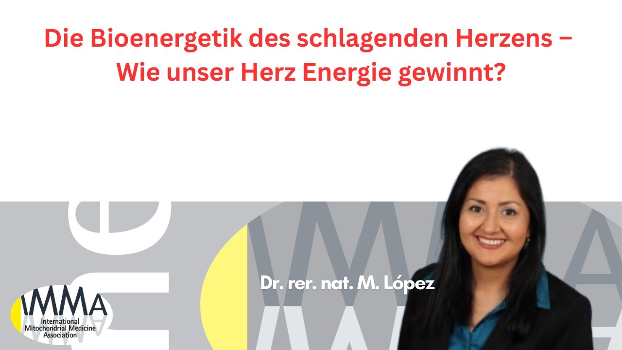 Die Bioenergetik des schlagenden Herzens - Wie unser Herz Energie gewinnt?