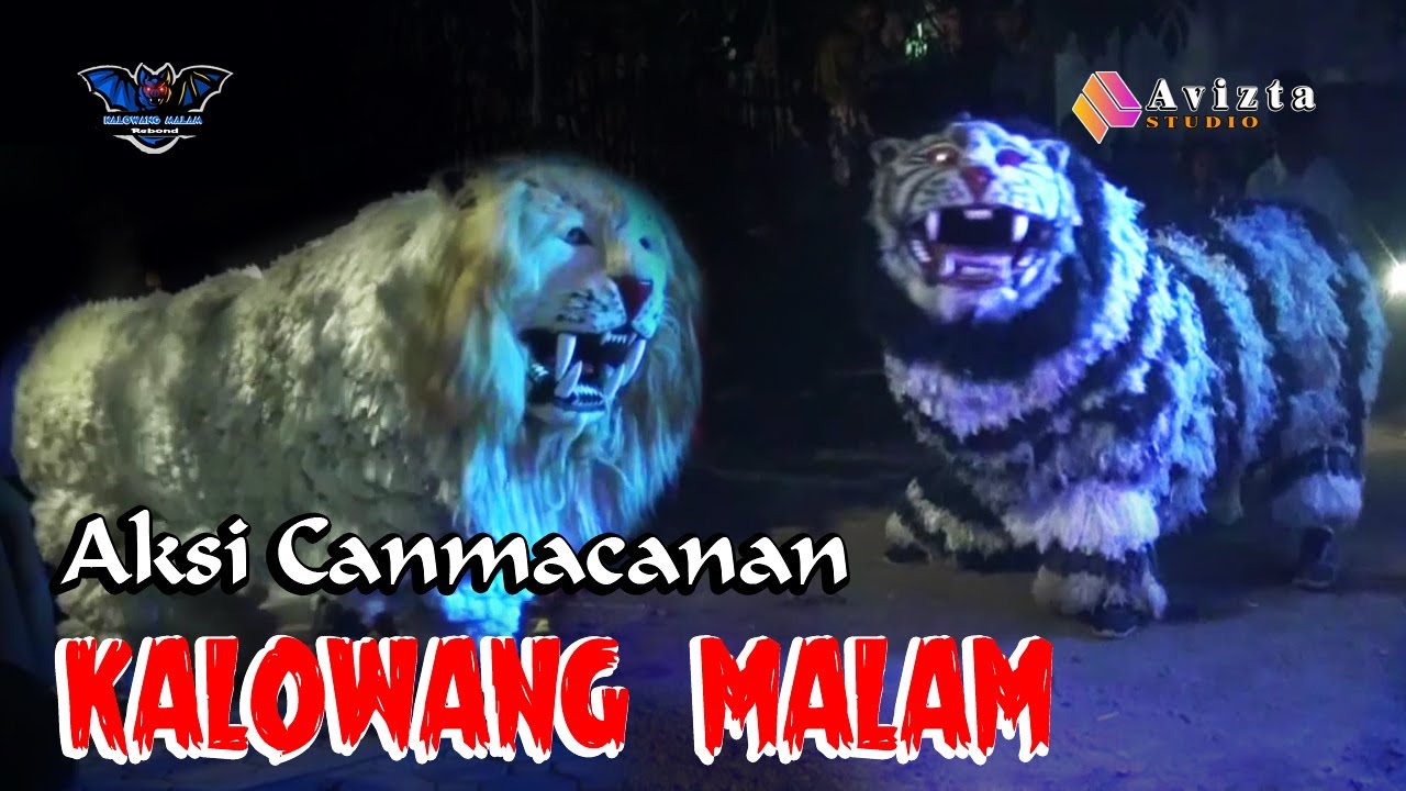 Aksi Canmacanan Vs Genderuwo // Kalowang Malam Rebond