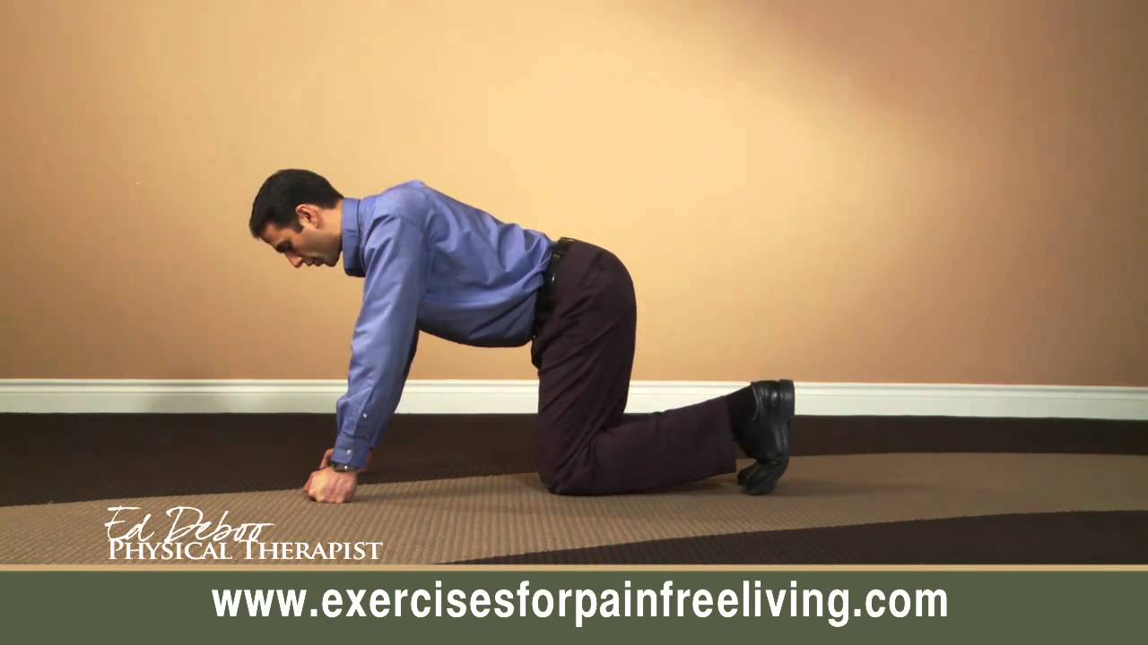 back strengthening exercise
